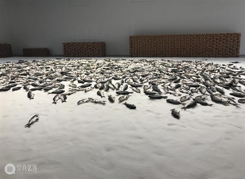 HOW昊美术馆AI+数字艺术年三展齐开！ | 国家美术·关注 崇真艺客