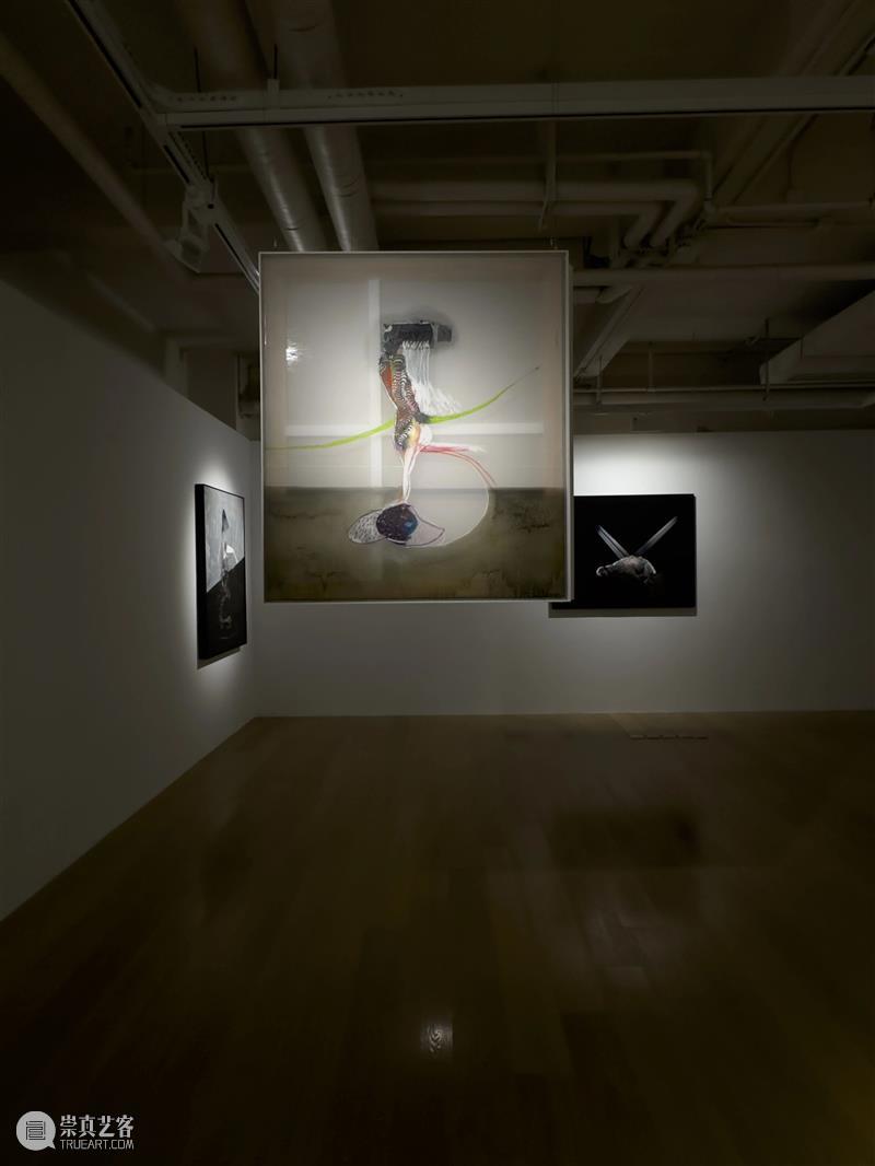 HOW昊美术馆AI+数字艺术年三展齐开！ | 国家美术·关注 崇真艺客