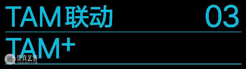 一份来自TAM的自我介绍 崇真艺客
