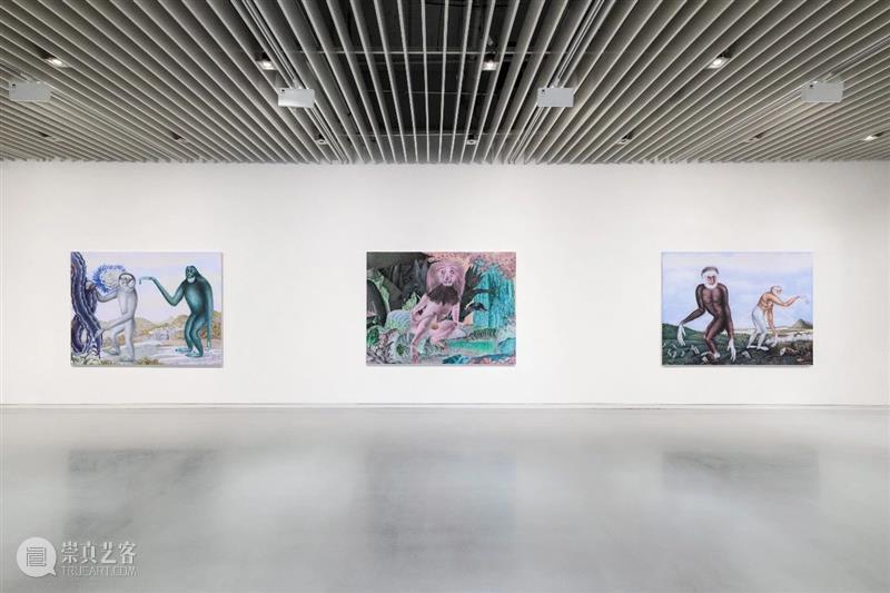张云垚：异化殿 | 今日开展 崇真艺客