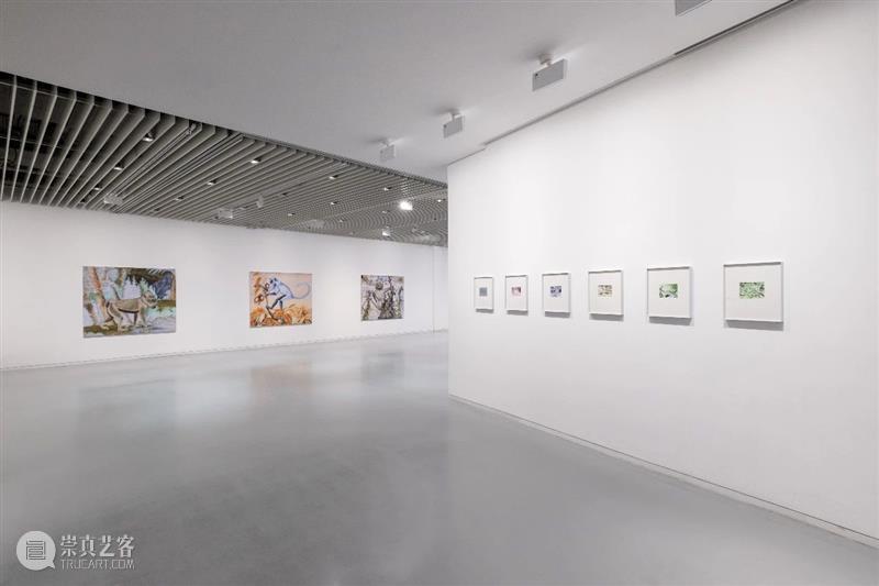 张云垚：异化殿 | 今日开展 崇真艺客