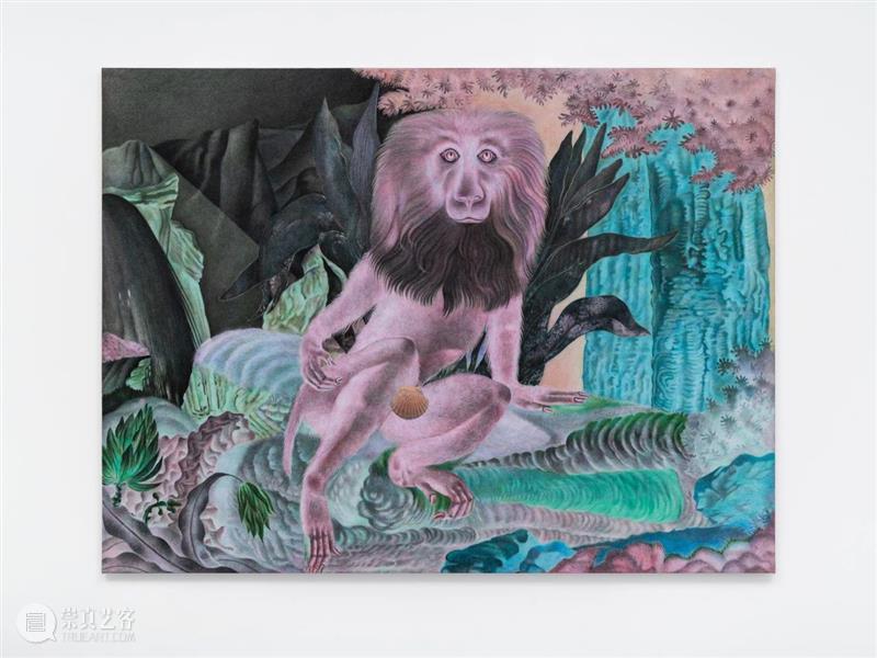 张云垚：异化殿 | 今日开展 崇真艺客
