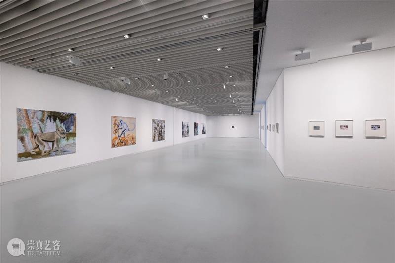 张云垚：异化殿 | 今日开展 崇真艺客