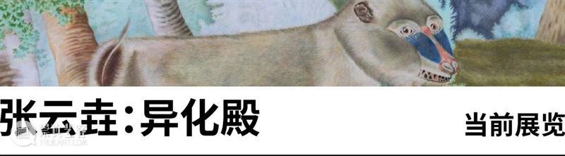 张云垚：异化殿 | 今日开展 崇真艺客