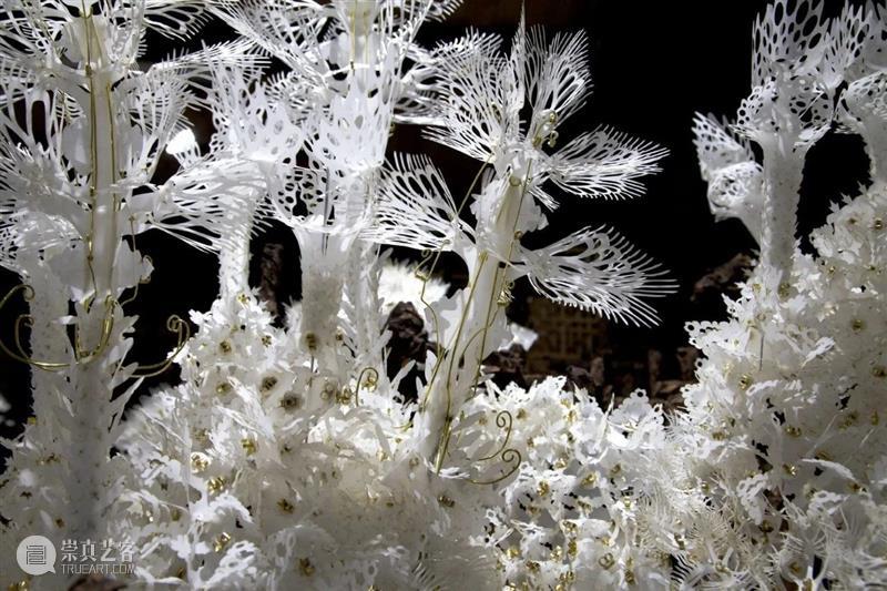 【IFA-艺术赏析】Casey Curran | 躺在星星和骨骼之间 崇真艺客