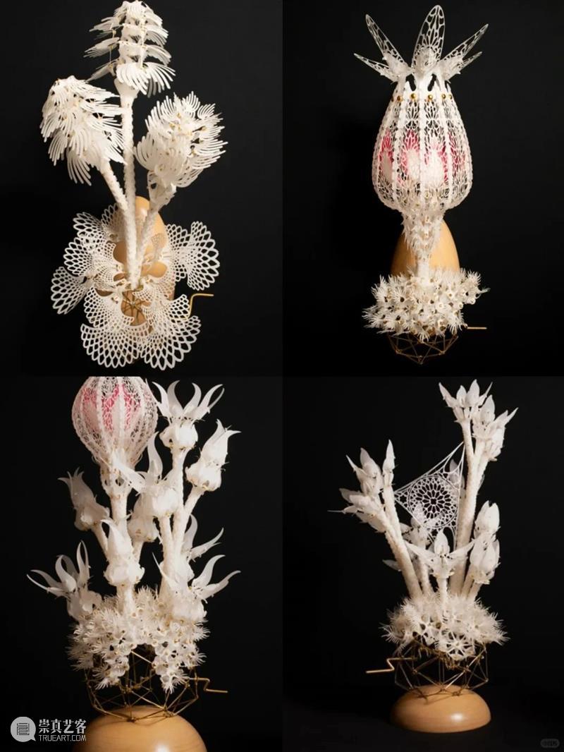 【IFA-艺术赏析】Casey Curran | 躺在星星和骨骼之间 崇真艺客