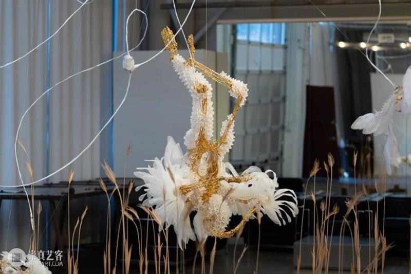 【IFA-艺术赏析】Casey Curran | 躺在星星和骨骼之间 崇真艺客