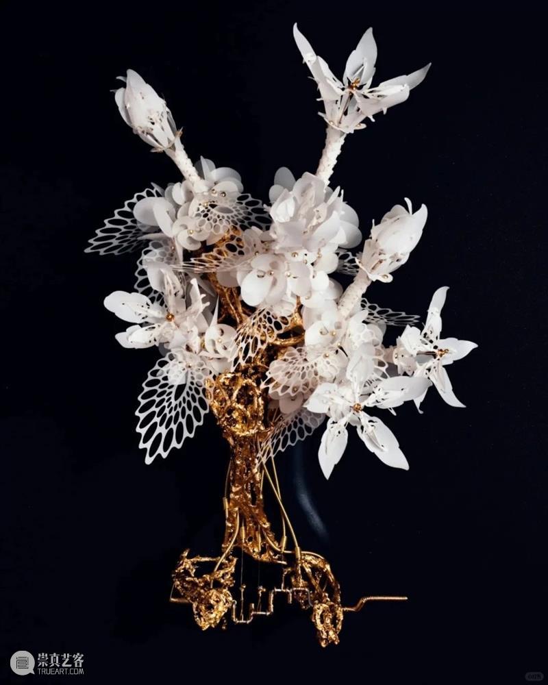 【IFA-艺术赏析】Casey Curran | 躺在星星和骨骼之间 崇真艺客