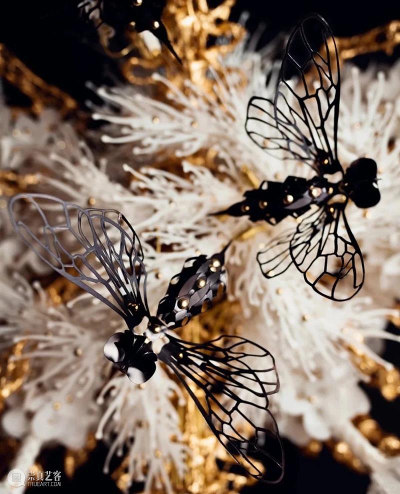 【IFA-艺术赏析】Casey Curran | 躺在星星和骨骼之间 崇真艺客