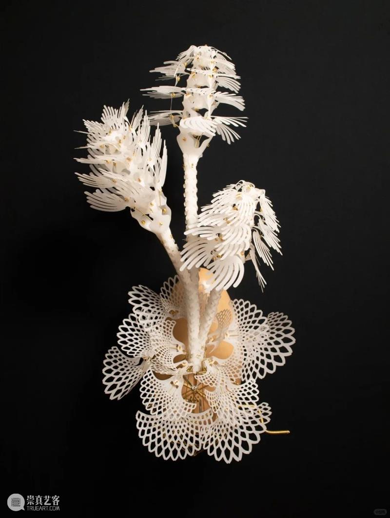 【IFA-艺术赏析】Casey Curran | 躺在星星和骨骼之间 崇真艺客