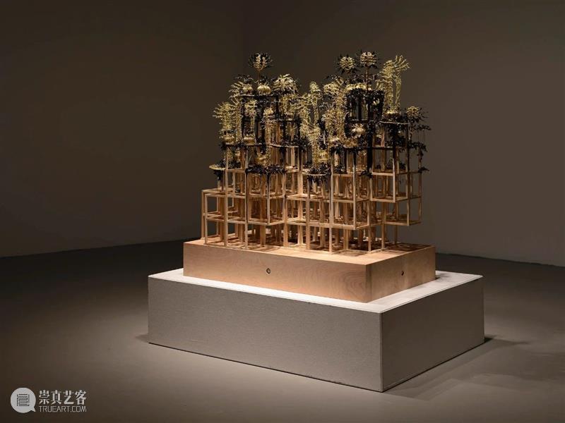 【IFA-艺术赏析】Casey Curran | 躺在星星和骨骼之间 崇真艺客