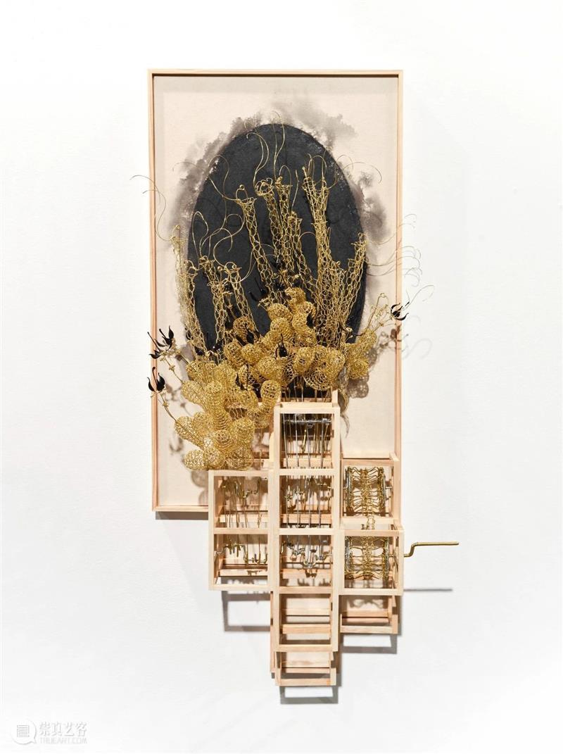 【IFA-艺术赏析】Casey Curran | 躺在星星和骨骼之间 崇真艺客