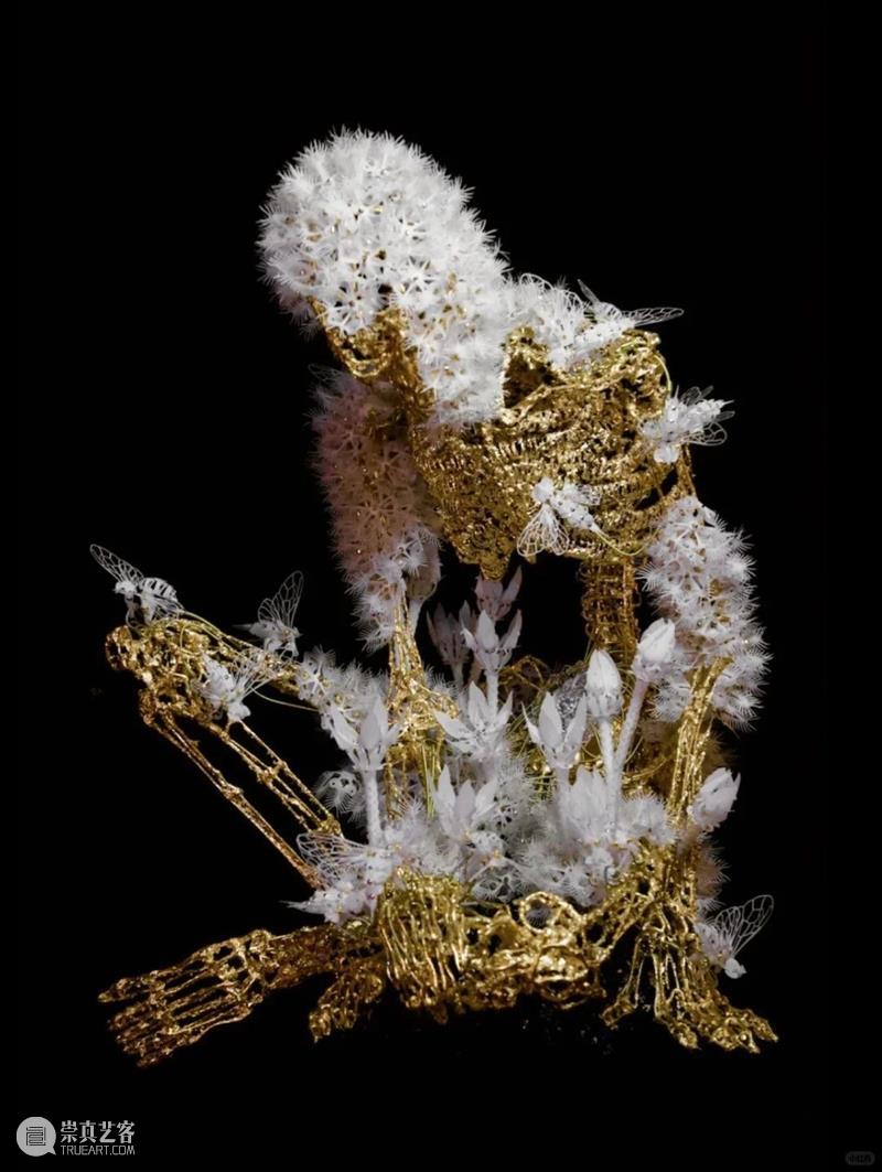 【IFA-艺术赏析】Casey Curran | 躺在星星和骨骼之间 崇真艺客