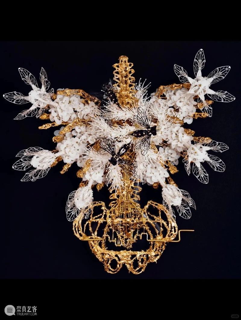 【IFA-艺术赏析】Casey Curran | 躺在星星和骨骼之间 崇真艺客