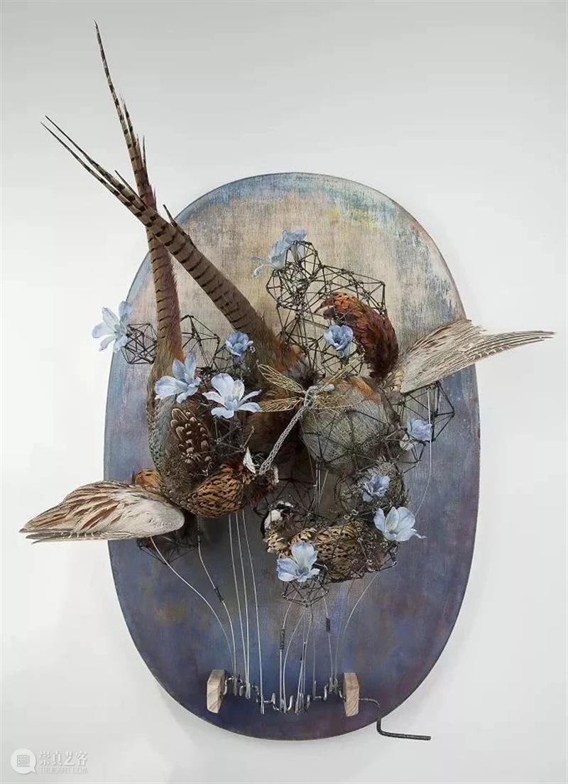 【IFA-艺术赏析】Casey Curran | 躺在星星和骨骼之间 崇真艺客