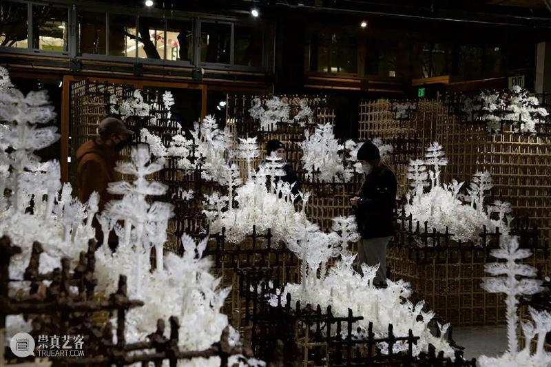 【IFA-艺术赏析】Casey Curran | 躺在星星和骨骼之间 崇真艺客