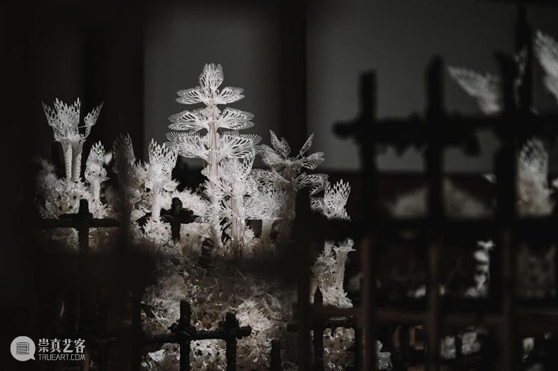 【IFA-艺术赏析】Casey Curran | 躺在星星和骨骼之间 崇真艺客