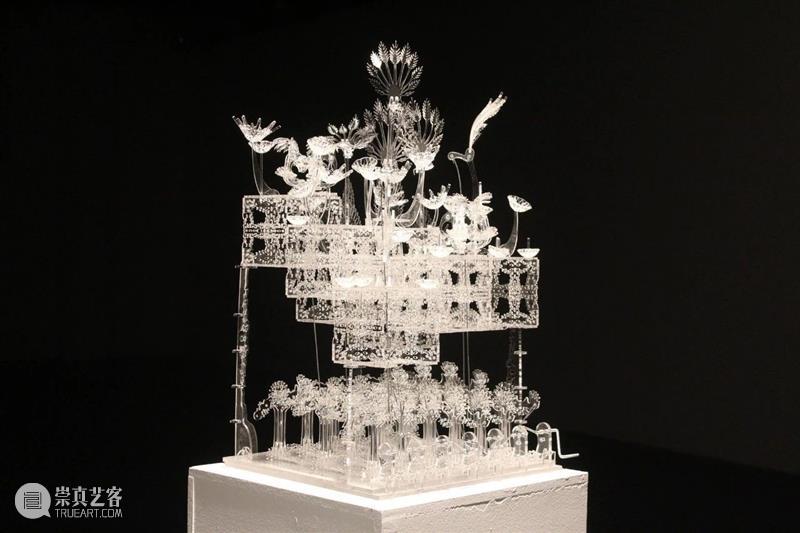 【IFA-艺术赏析】Casey Curran | 躺在星星和骨骼之间 崇真艺客