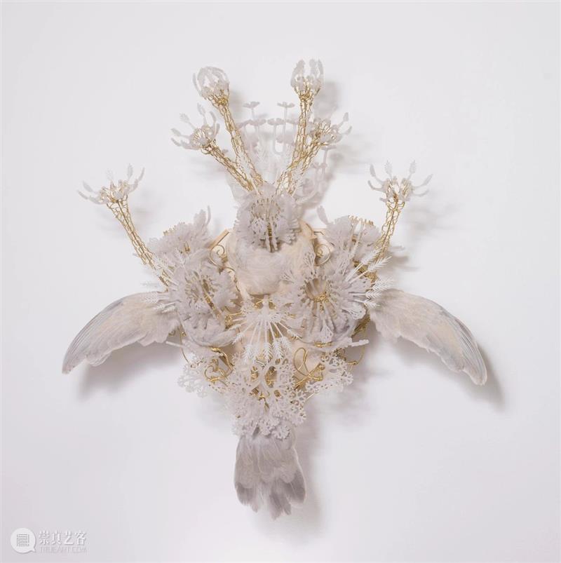 【IFA-艺术赏析】Casey Curran | 躺在星星和骨骼之间 崇真艺客