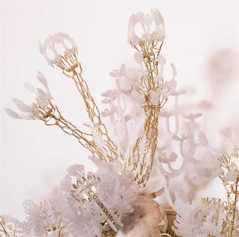 【IFA-艺术赏析】Casey Curran | 躺在星星和骨骼之间 崇真艺客