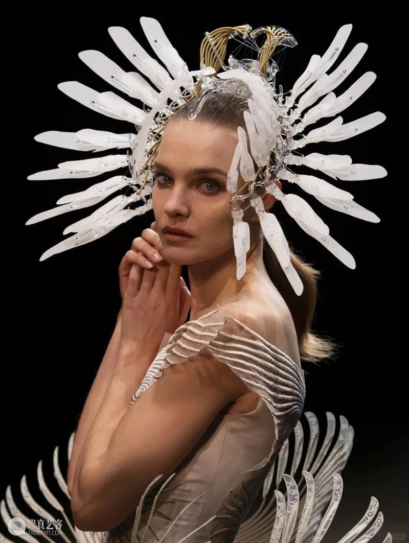 【IFA-艺术赏析】Casey Curran | 躺在星星和骨骼之间 崇真艺客