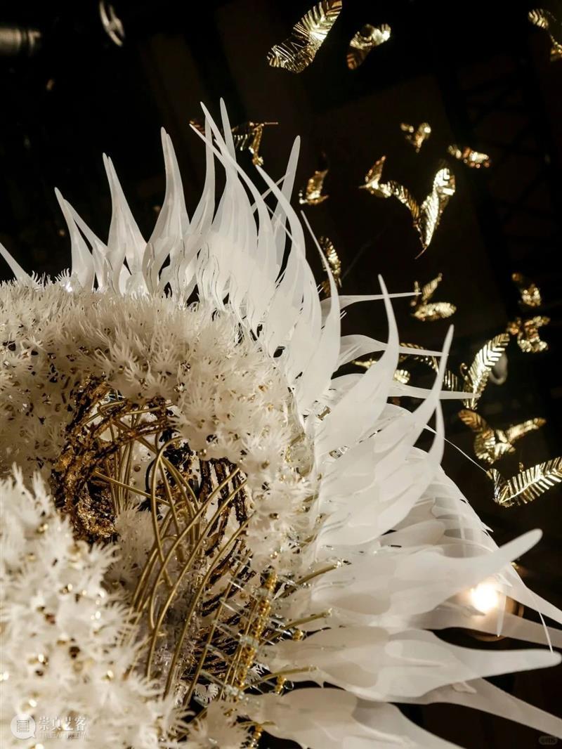 【IFA-艺术赏析】Casey Curran | 躺在星星和骨骼之间 崇真艺客