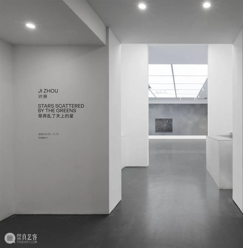 【SPURS 文选】林叶写计洲——将被遮掩，将会消逝，但始终存在 崇真艺客