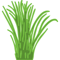 TAG花艺专场 | 植生自然 逆秋而绽 崇真艺客