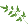 TAG花艺专场 | 植生自然 逆秋而绽 崇真艺客