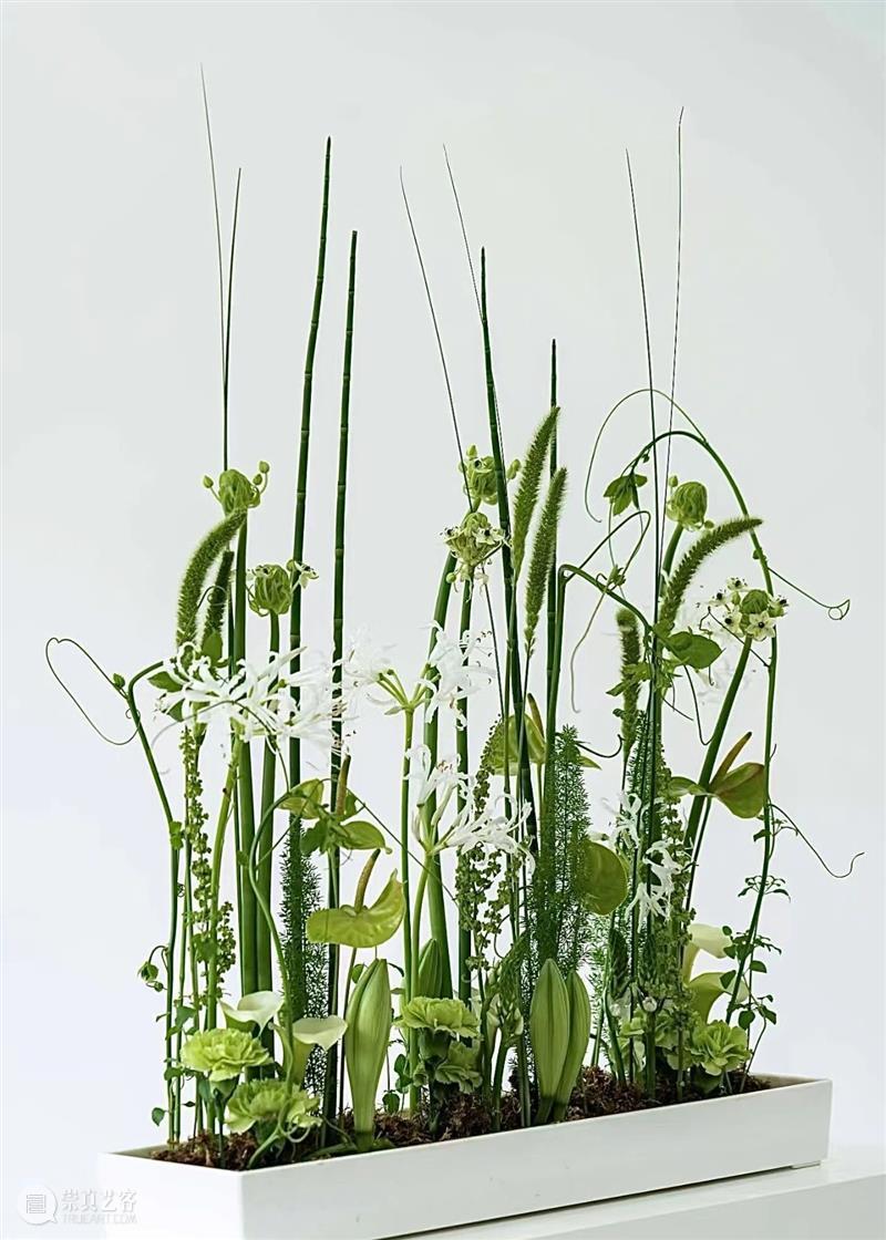 TAG花艺专场 | 植生自然 逆秋而绽 崇真艺客