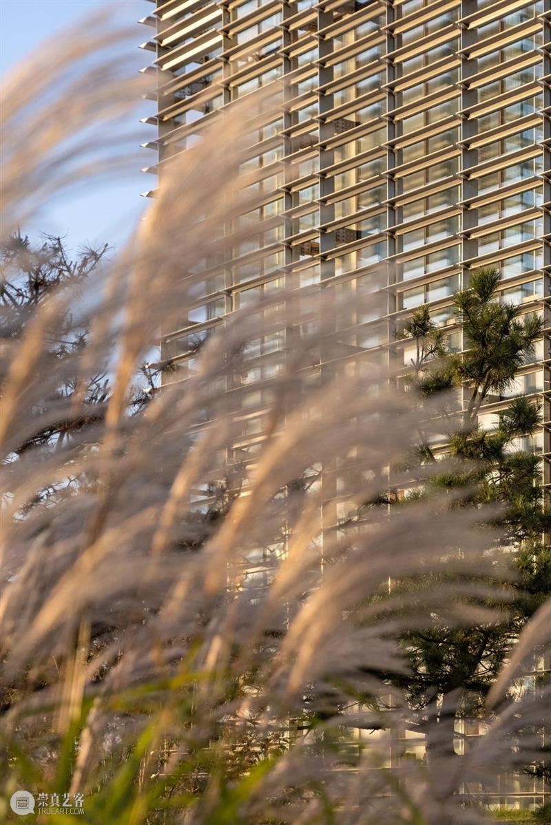 TAG花艺专场 | 植生自然 逆秋而绽 崇真艺客