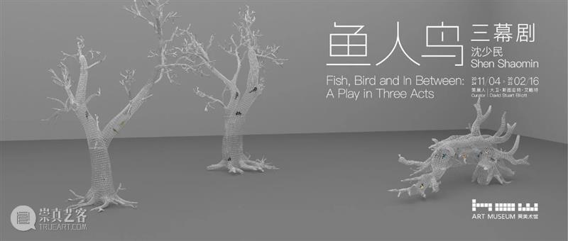 HOW 未来生命档案｜孙世晟：爱之眼及更多作品介绍 崇真艺客