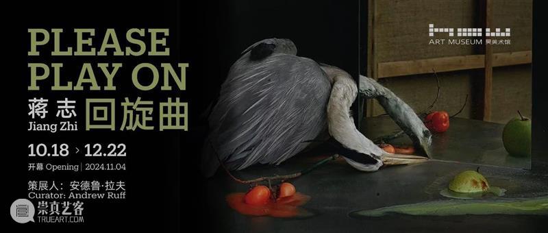 HOW 未来生命档案｜孙世晟：爱之眼及更多作品介绍 崇真艺客