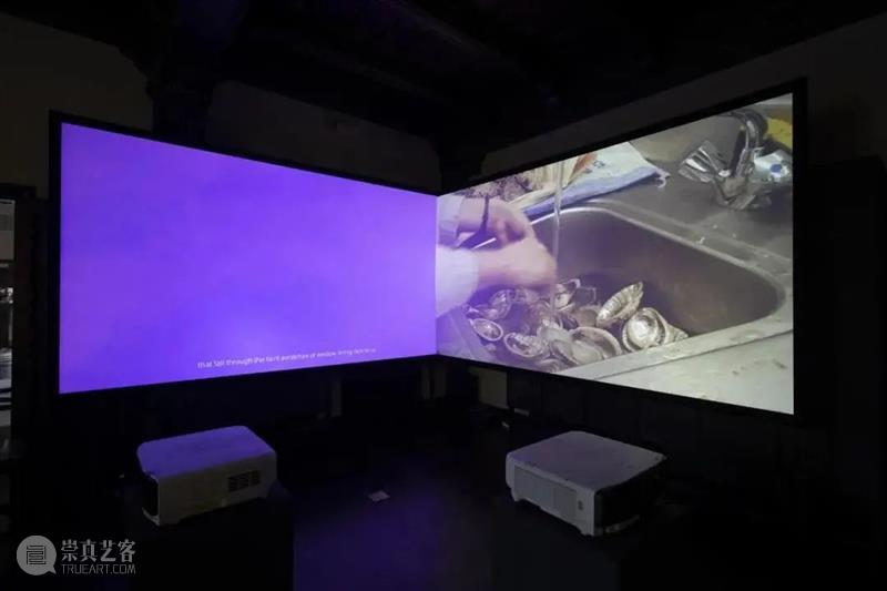 凯蒂·斯科特将担任第15届上海双年展主策展人 热点聚焦  上海双年展 凯蒂·斯科特 第15届上海双年展主策展人 崇真艺客