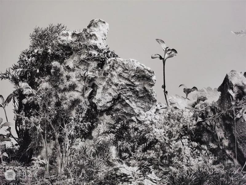 展览赏析 | “去往从来”第四回展——以山水为提案·汇流(三) 崇真艺客