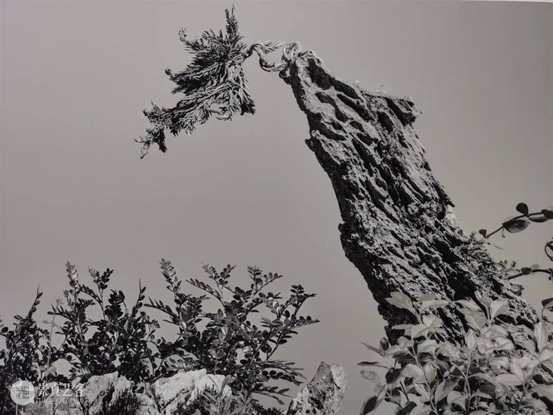 展览赏析 | “去往从来”第四回展——以山水为提案·汇流(三) 崇真艺客