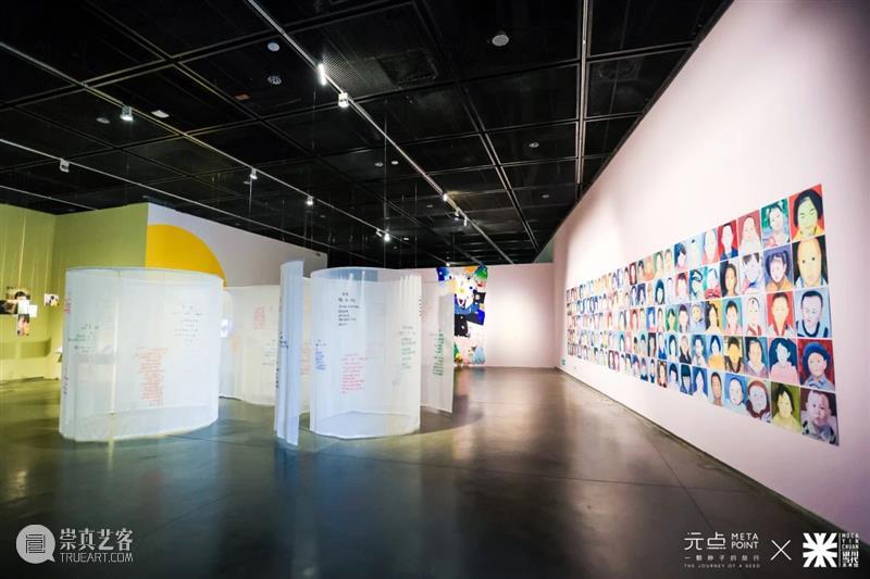 MOCA 展览 | “璀璨群星”中让人心疼的“星星” 崇真艺客