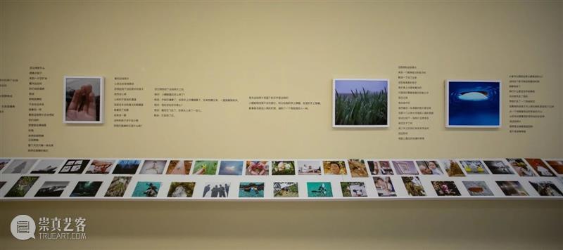 MOCA 展览 | “璀璨群星”中让人心疼的“星星” 崇真艺客