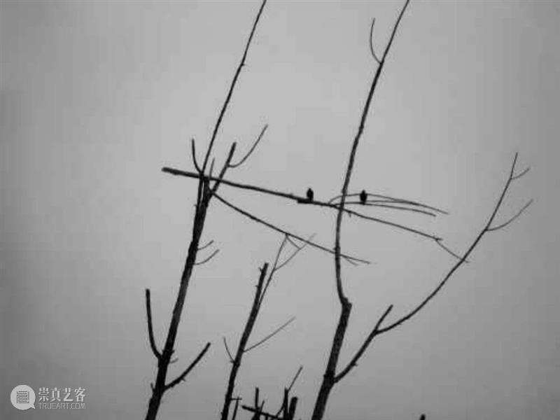 MOCA 展览 | “璀璨群星”中让人心疼的“星星” 崇真艺客