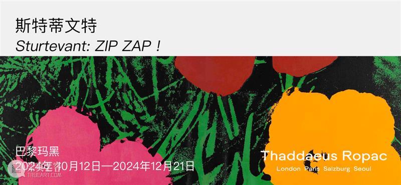 Ropac 线上展厅｜群展“非凡视野：七十年代美国艺术” 崇真艺客