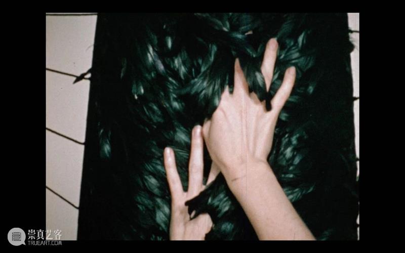 萃舍云集 | “蝶影—纪念瑞贝卡·霍恩”展览作品（上） 崇真艺客