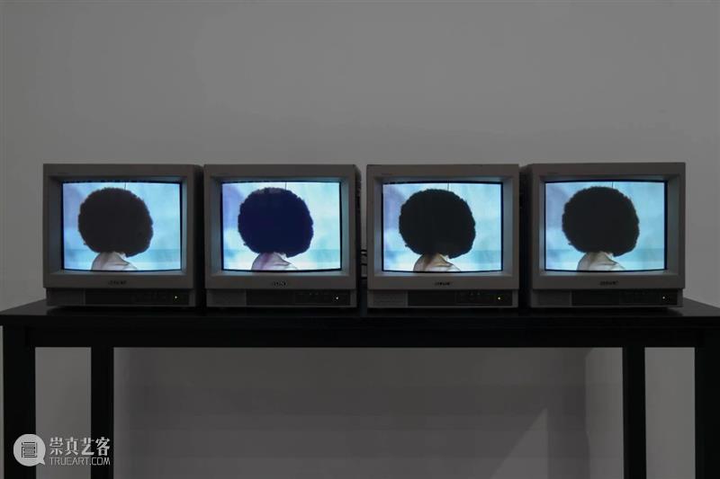 萃舍云集 | “蝶影—纪念瑞贝卡·霍恩”展览作品（上） 崇真艺客