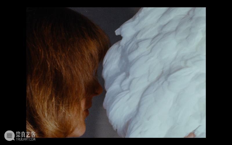 萃舍云集 | “蝶影—纪念瑞贝卡·霍恩”展览作品（上） 崇真艺客