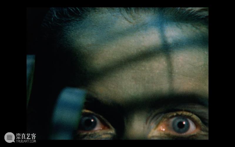 萃舍云集 | “蝶影—纪念瑞贝卡·霍恩”展览作品（上） 崇真艺客