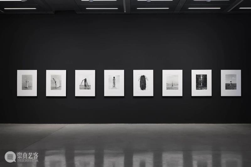 萃舍云集 | “蝶影—纪念瑞贝卡·霍恩”展览作品（上） 崇真艺客