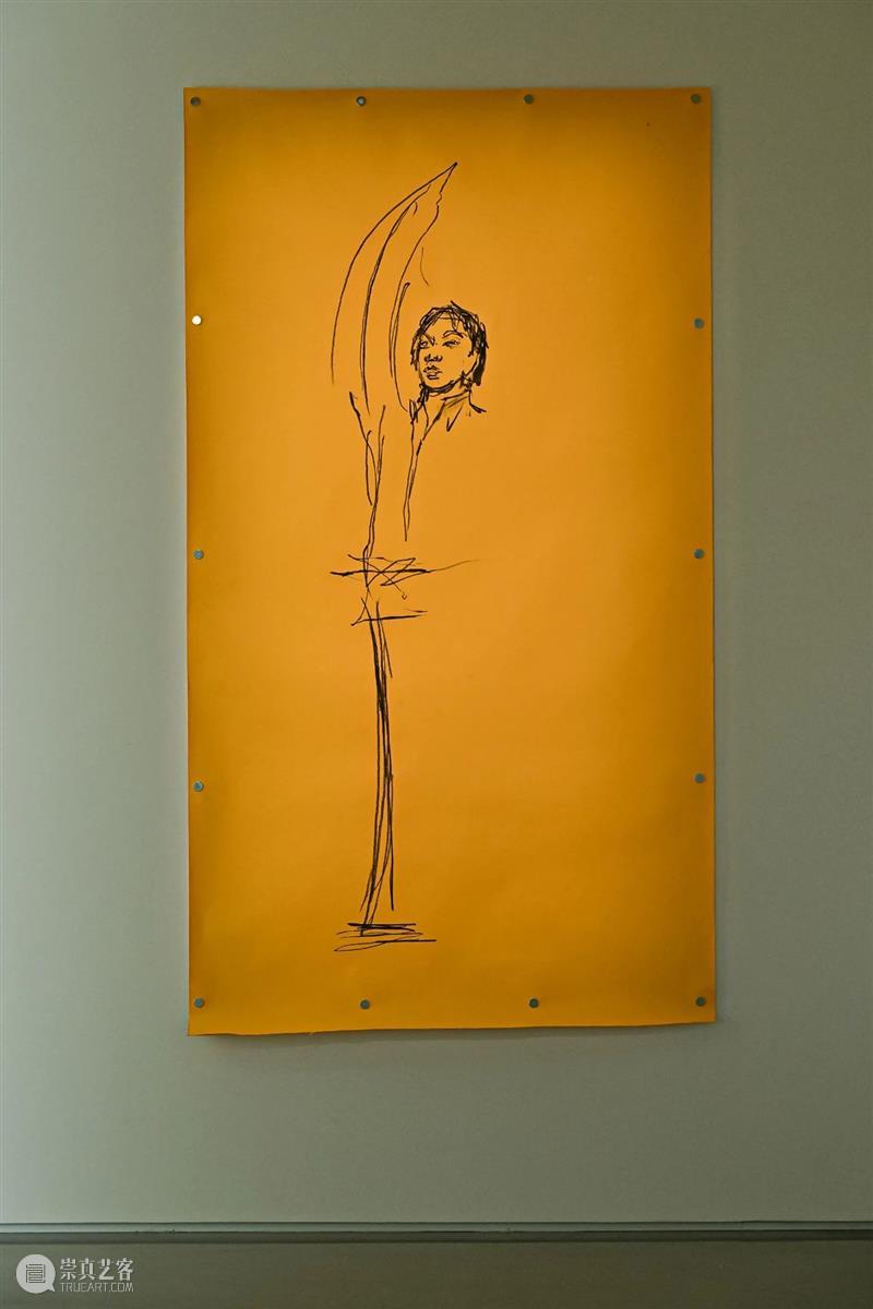 香格纳北京 | 朱加个展《我们是完美的 II》对谈回顾 崇真艺客