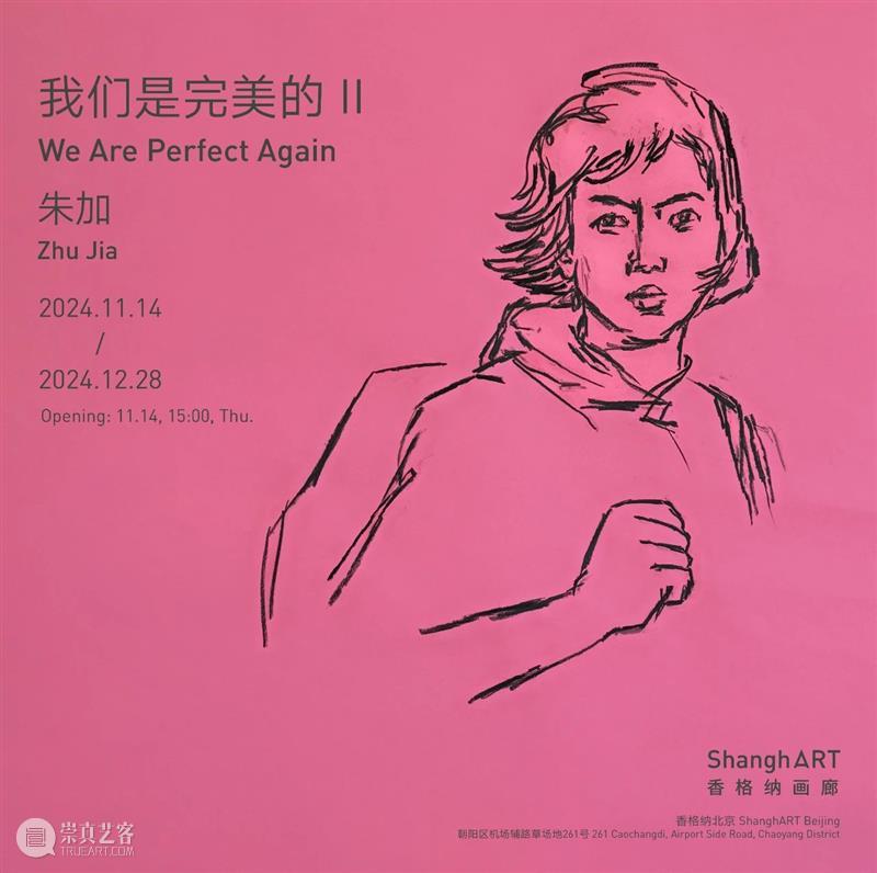 香格纳北京 | 朱加个展《我们是完美的 II》对谈回顾 崇真艺客