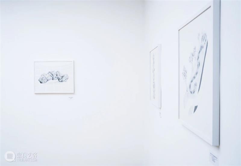 新展开幕｜《大地回声》艾伦·森菲斯特艺术展 崇真艺客