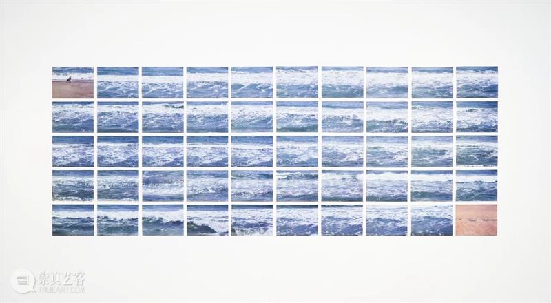 新展开幕｜《大地回声》艾伦·森菲斯特艺术展 崇真艺客