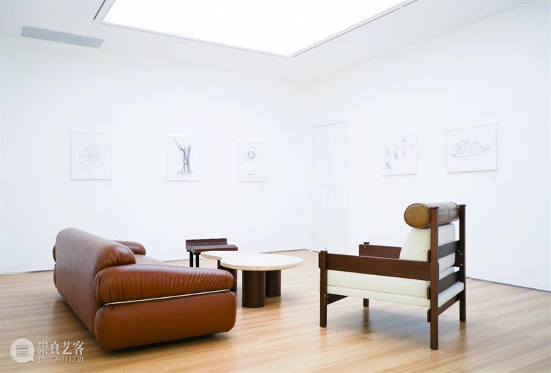 新展开幕｜《大地回声》艾伦·森菲斯特艺术展 崇真艺客